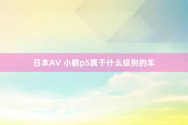 日本AV 小鹏p5属于什么级别的车