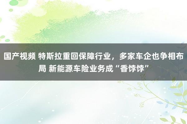 国产视频 特斯拉重回保障行业，多家车企也争相布局 新能源车险业务成“香饽饽”