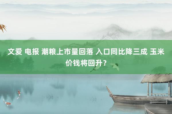 文爱 电报 潮粮上市量回落 入口同比降三成 玉米价钱将回升？