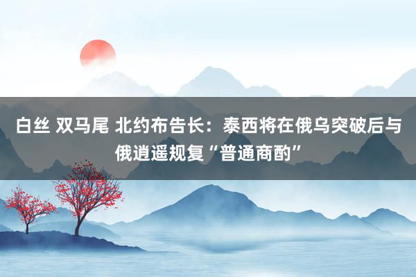 白丝 双马尾 北约布告长：泰西将在俄乌突破后与俄逍遥规复“普通商酌”